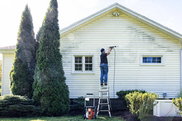 Best Exterior Home Cleaning  in Randolph, WI